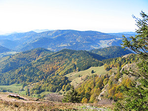 Der Schwarzwald