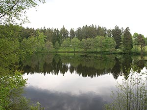 Schlüchtsee