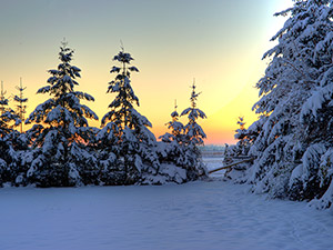 Winter im Schwarzwald